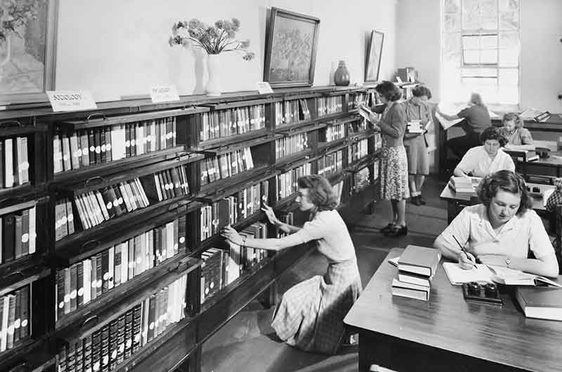 students study in the library